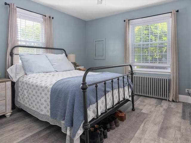 96 Ashaway Rd, Westerly, RI 02891 - bedroom featuring radiator heating unit, wood finished floors, and multiple windows