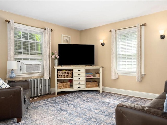96 Ashaway Rd, Westerly, RI 02891 - living room featuring radiator heating unit and cooling unit