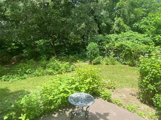163 Reynolds Ave, Warwick, RI 02889 - view of yard