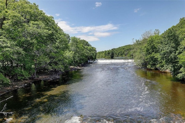 2 School St Unit 334, Lincoln, RI 02802 - water view featuring a heavily wooded area