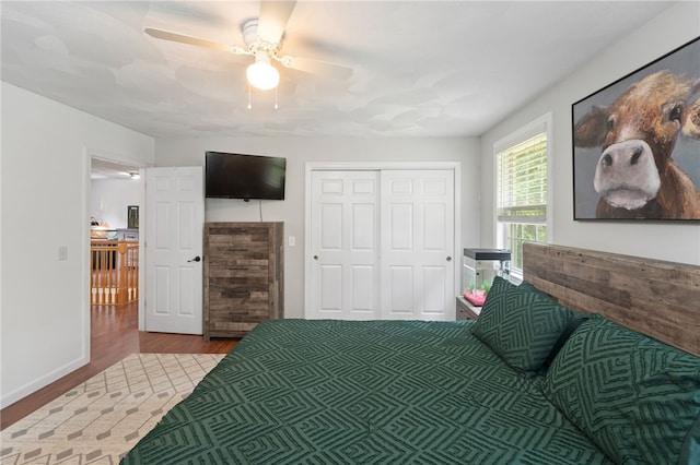 15 Bestwick Trl, Coventry, RI 02816 - bedroom with wood finished floors, a closet, and ceiling fan