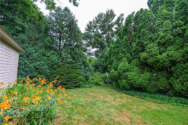 28 Greenfield Ave, North Providence, RI 02911 - photo 42