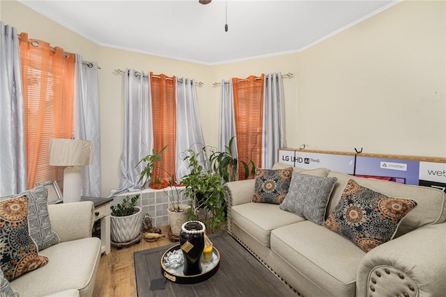 155 Early St, Providence, RI 02907 - living area featuring wood finished floors and crown molding