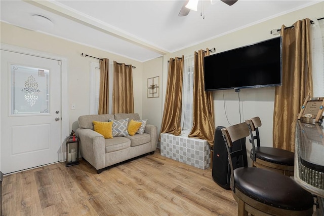 155 Early St, Providence, RI 02907 - living room with a ceiling fan, light wood-style flooring, and ornamental molding