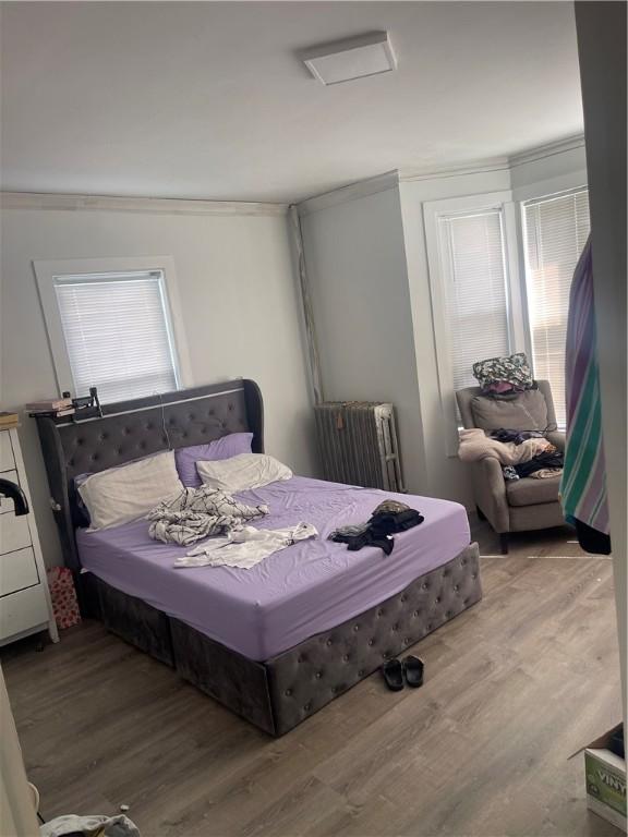 195 Bellevue Ave, Providence, RI 02907 - bedroom with radiator, ornamental molding, and wood finished floors