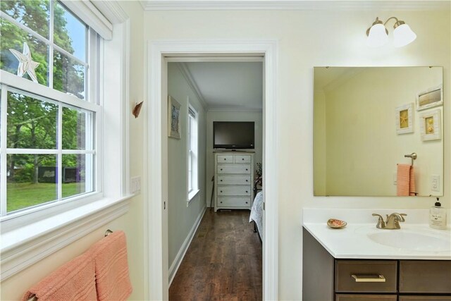 107 Pottersville Rd, Little Compton, RI 02837 - bathroom featuring crown molding, vanity, and wood finished floors