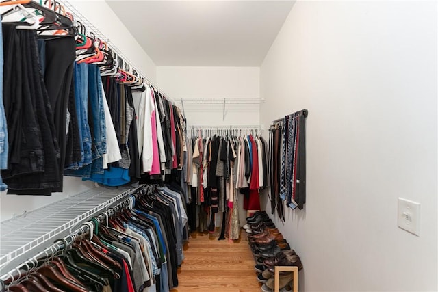 64 Knight View Dr, West Greenwich, RI 02817 - spacious closet with light wood-type flooring