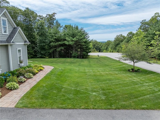 64 Knight View Dr, West Greenwich, RI 02817 - view of green lawn