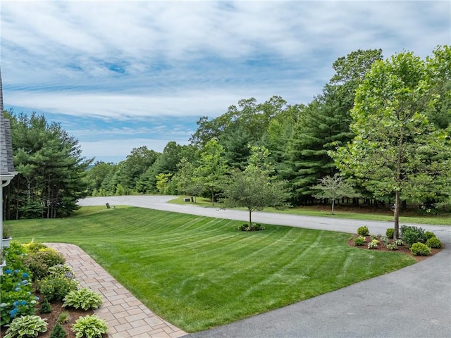 64 Knight View Dr, West Greenwich, RI 02817 - view of grassy yard