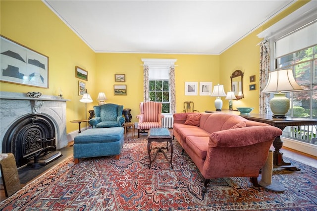33 Kay St, Newport, RI 02840 - living area featuring ornamental molding, healthy amount of natural light, radiator, and wood finished floors