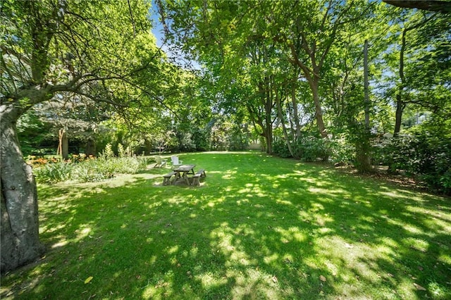 33 Kay St, Newport, RI 02840 - view of green lawn