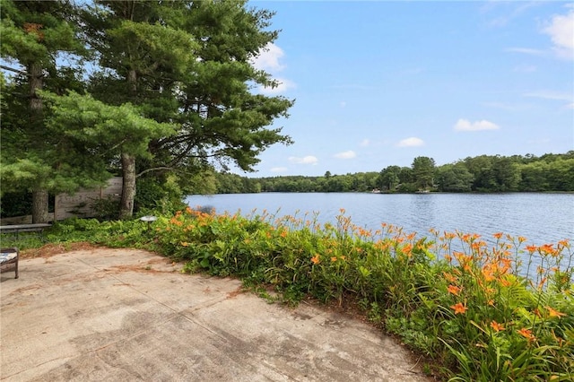 25 Willow Dr, Hopkinton, RI 02832 - photo 44