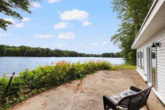 25 Willow Dr, Hopkinton, RI 02832 - photo 45