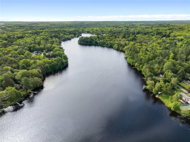 25 Willow Dr, Hopkinton, RI 02832 - photo 49