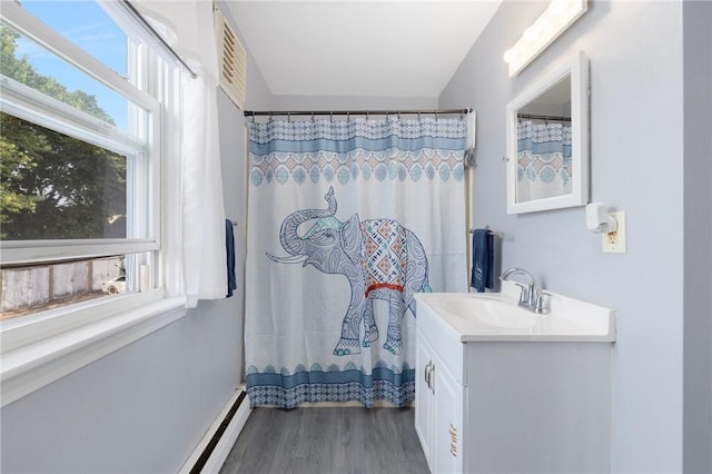 40 W Cole St, Pawtucket, RI 02861 - bathroom featuring vanity, wood finished floors, and curtained shower