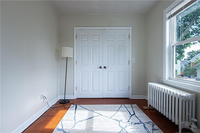 9 Locust St, Providence, RI 02906 - unfurnished bedroom with radiator, multiple windows, wood finished floors, and a closet