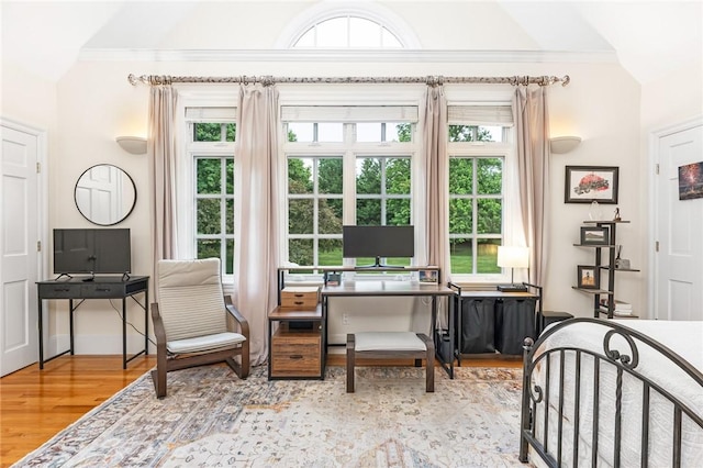 15 Courageous Cir, Bristol, RI 02809 - bedroom featuring wood finished floors, an office area, lofted ceiling, multiple windows, and ornamental molding
