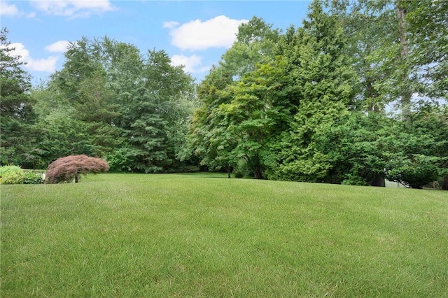 185 Sunnybrook Dr, North Kingstown, RI 02852 - view of green lawn