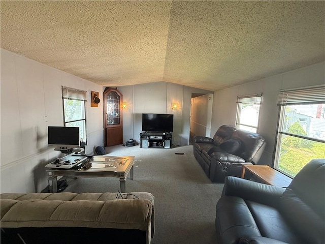 225 Brayton Ave, Tiverton, RI 02878 - living area with vaulted ceiling, a textured ceiling, carpet, a decorative wall, and plenty of natural light