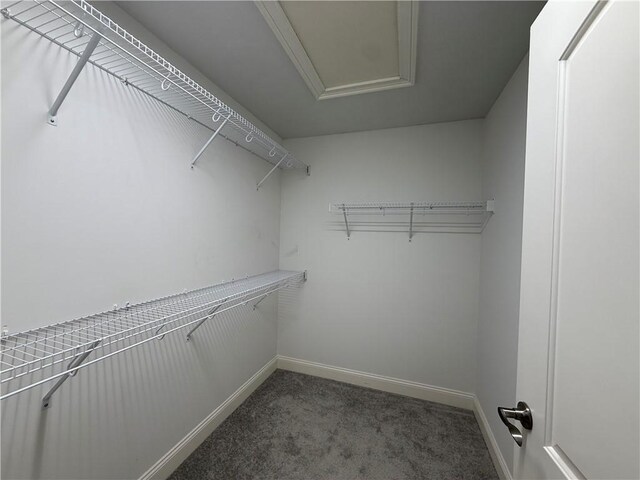 77 Batcheller Ave, Cranston, RI 02920 - walk in closet featuring carpet and attic access