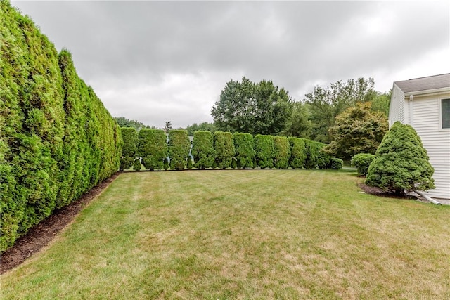 422 Buxton St, North Smithfield, RI 02896 - view of yard