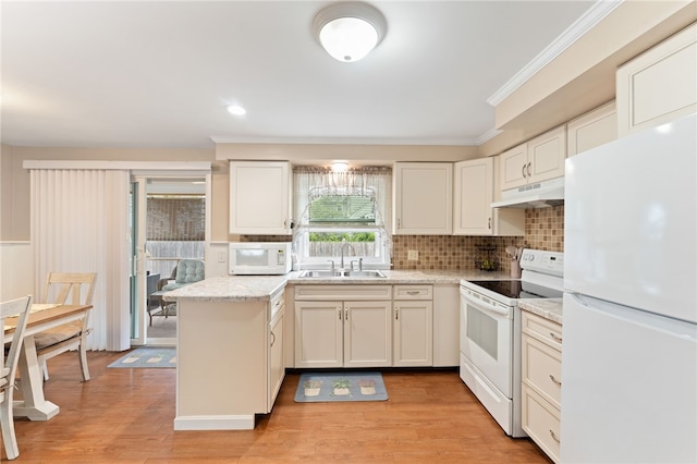 67 Vera St, Warwick, RI 02886 - kitchen featuring white appliances, under cabinet range hood, crown molding, tasteful backsplash, and light wood-style flooring