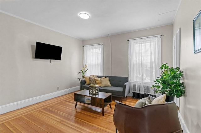 1413 Broad St, Providence, RI 02905 - living room featuring light wood finished floors and ornamental molding