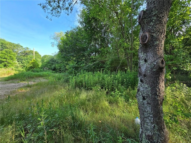 241 Bradford Rd, Westerly, RI 02808 - photo 3