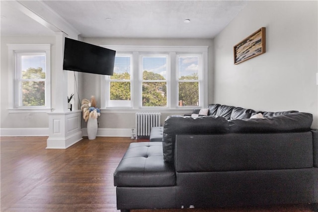 61 Wealth Ave, Providence, RI 02908 - living area featuring radiator heating unit, plenty of natural light, and wood finished floors