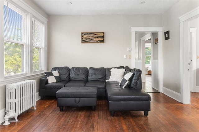 61 Wealth Ave, Providence, RI 02908 - living area with radiator and wood finished floors