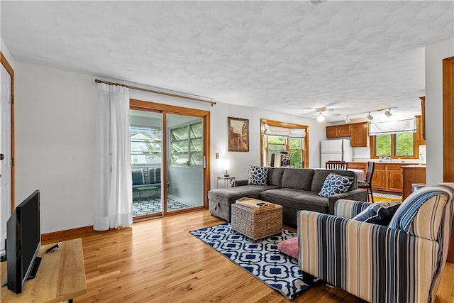 303 Washington Rd, Barrington, RI 02806 - living room with healthy amount of natural light, light wood-style floors, ceiling fan, and rail lighting