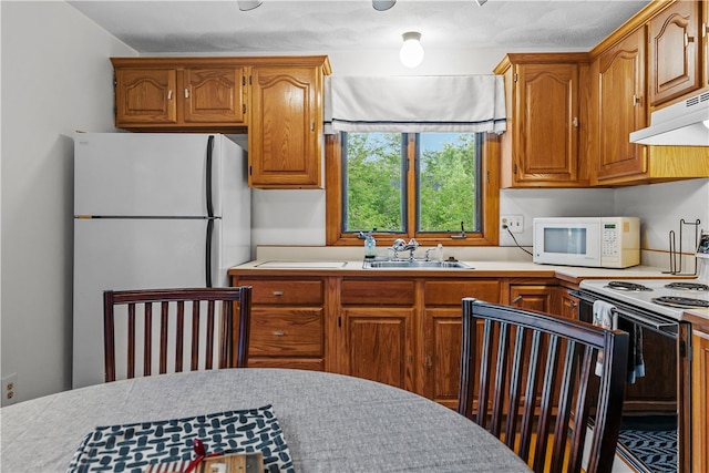 303 Washington Rd, Barrington, RI 02806 - kitchen with white appliances, under cabinet range hood, light countertops, and brown cabinetry