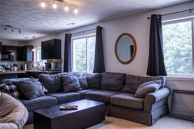 2 Main St Unit 21, Lincoln, RI 02802 - living room featuring track lighting and light colored carpet