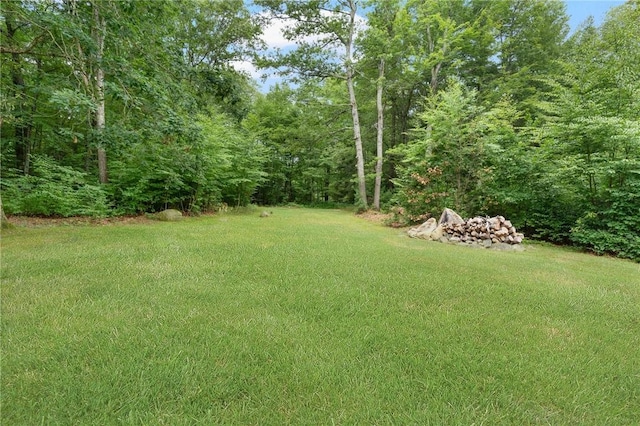 219 Fenner Hill Rd, Hopkinton, RI 02832 - view of green lawn featuring a wooded view