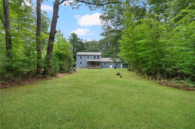 219 Fenner Hill Rd, Hopkinton, RI 02832 - view of green lawn