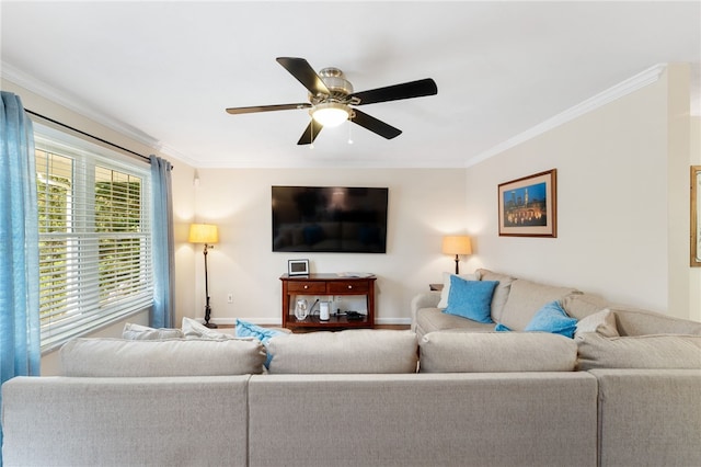 18 Country Hill Ln, Smithfield, RI 02917 - living area featuring a ceiling fan, ornamental molding, and wood finished floors