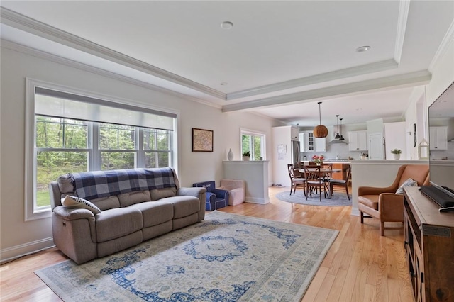 25 Kristin Dr, Cranston, RI 02921 - living area featuring a tray ceiling, light wood-type flooring, and ornamental molding