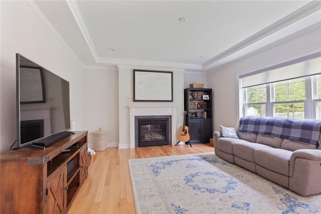25 Kristin Dr, Cranston, RI 02921 - living area with a glass covered fireplace, light wood-style flooring, ornamental molding, and a tray ceiling