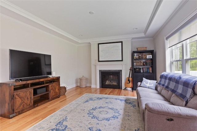 25 Kristin Dr, Cranston, RI 02921 - living area featuring a glass covered fireplace, light wood finished floors, and crown molding
