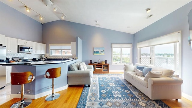 4090 Post Rd Unit B, Warwick, RI 02886 - living room featuring healthy amount of natural light, light wood finished floors, rail lighting, and high vaulted ceiling