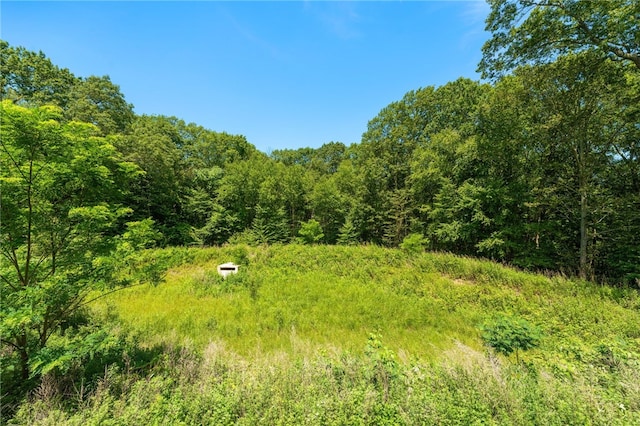 1 Lily Ln Unit 1, West Warwick, RI 02893 - view of woods