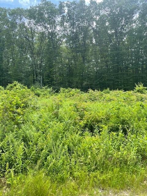 0 Twin River Rd, Lincoln, RI 02865 - photo 12