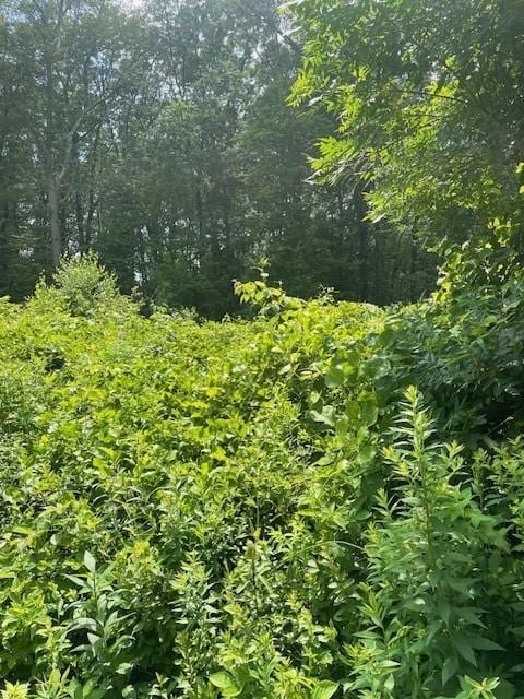 0 Twin River Rd, Lincoln, RI 02865 - photo 13