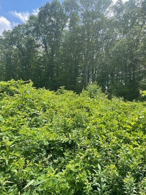 0 Twin River Rd, Lincoln, RI 02865 - photo 14