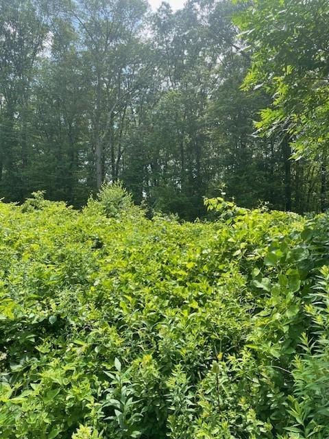 0 Twin River Rd, Lincoln, RI 02865 - photo 15