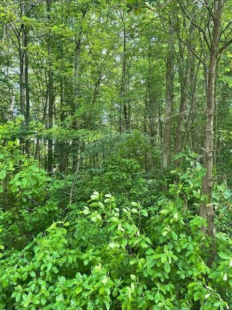 0 Twin River Rd, Lincoln, RI 02865 - photo 6