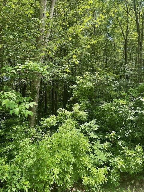 0 Twin River Rd, Lincoln, RI 02865 - photo 7