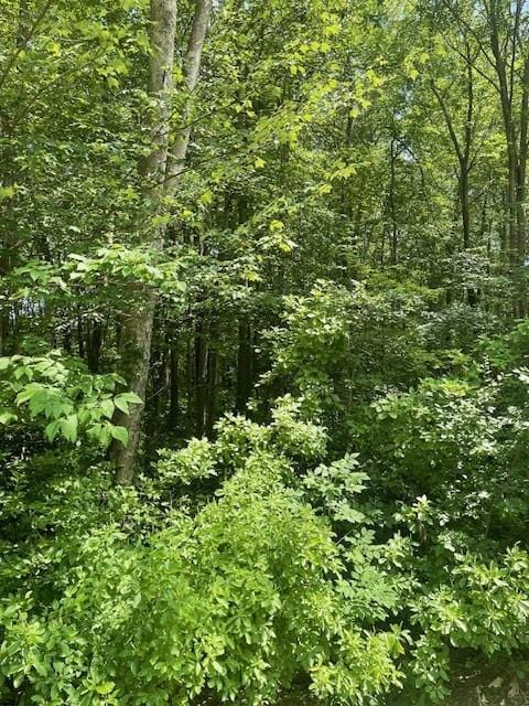 0 Twin River Rd, Lincoln, RI 02865 - photo 8