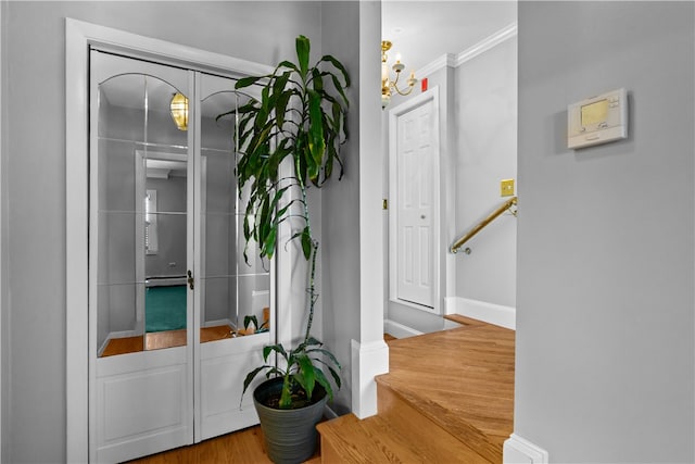 553 Bellevue Ave Unit 14, Newport, RI 02840