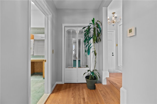 553 Bellevue Ave Unit 14, Newport, RI 02840